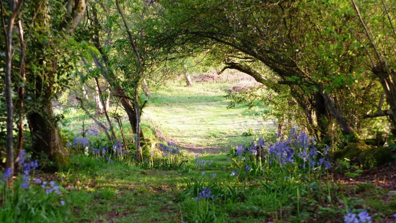 Dolifor Leilighet Llanwrthwl Eksteriør bilde